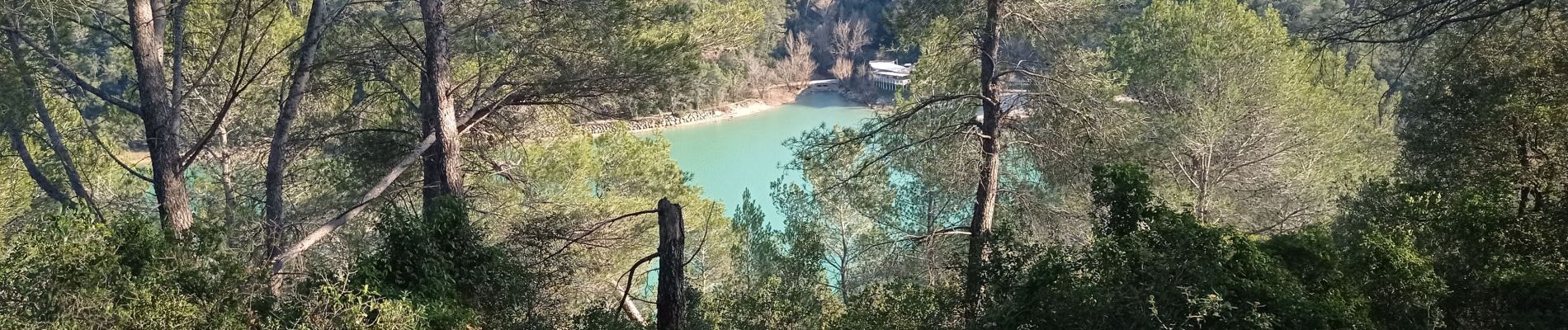 Tour Wandern Sainte-Croix-de-Quintillargues - 34 lac de ceceles par la suque26 01 2023  - Photo