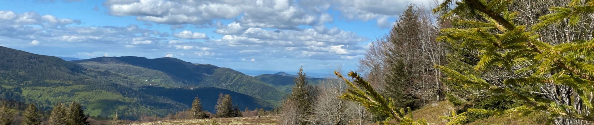 Tour Wandern Geishausen - Autour du Sorckenkopf - Photo