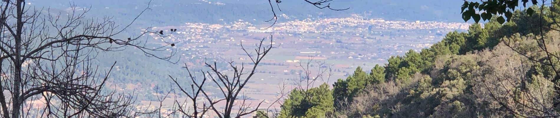 Tour Wandern Pignans - Pignans - Notre Dame des anges - Photo