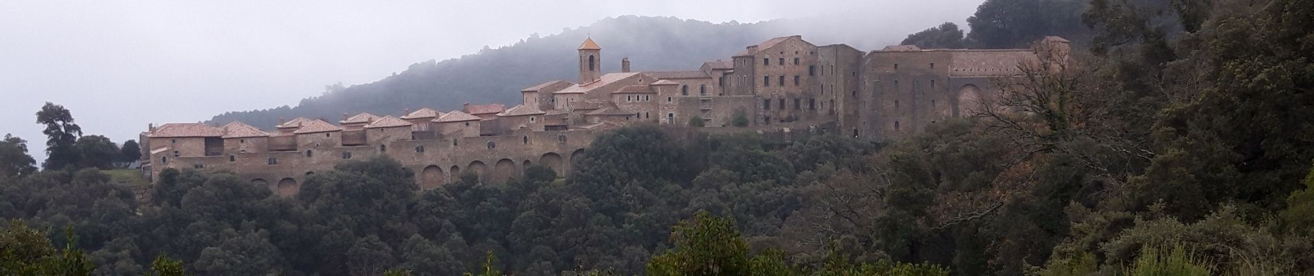 Tour Wandern Collobrières - Chartreuse de la Verne - Photo