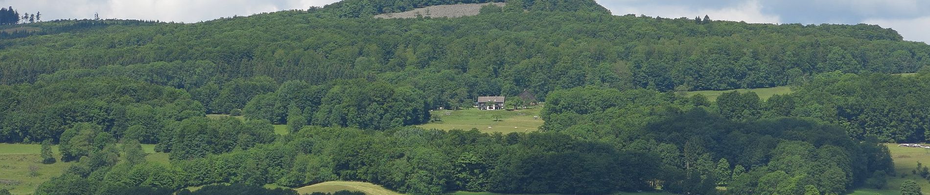 Excursión A pie Ehrenberg - Wüstensachsen, Rundweg 10 - Photo