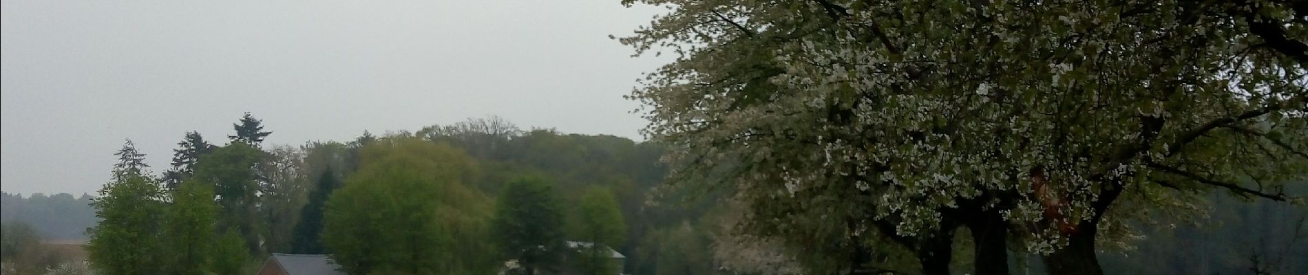 Tour Wandern Court-Saint-Étienne - arbre de la justice et pâturage - Photo