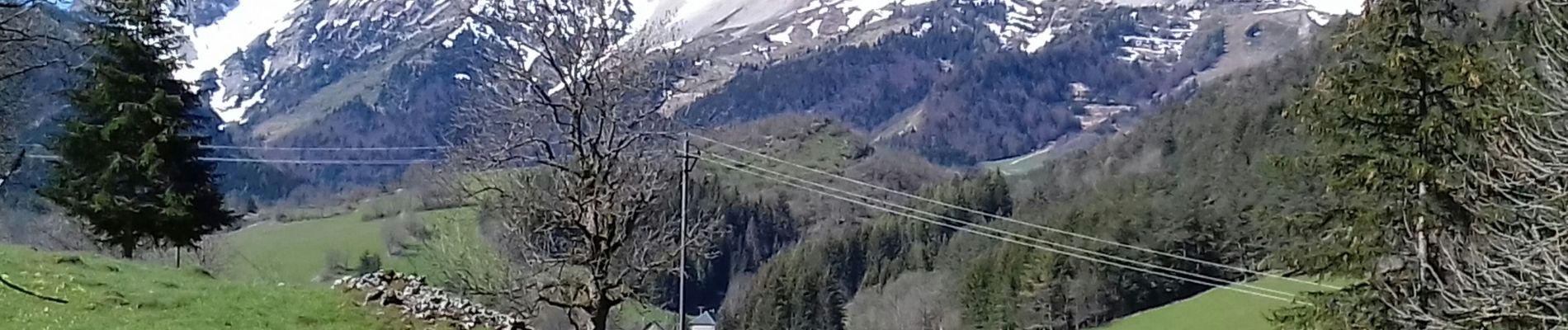 Tour Wandern Gresse-en-Vercors - Le tour du palais - Photo