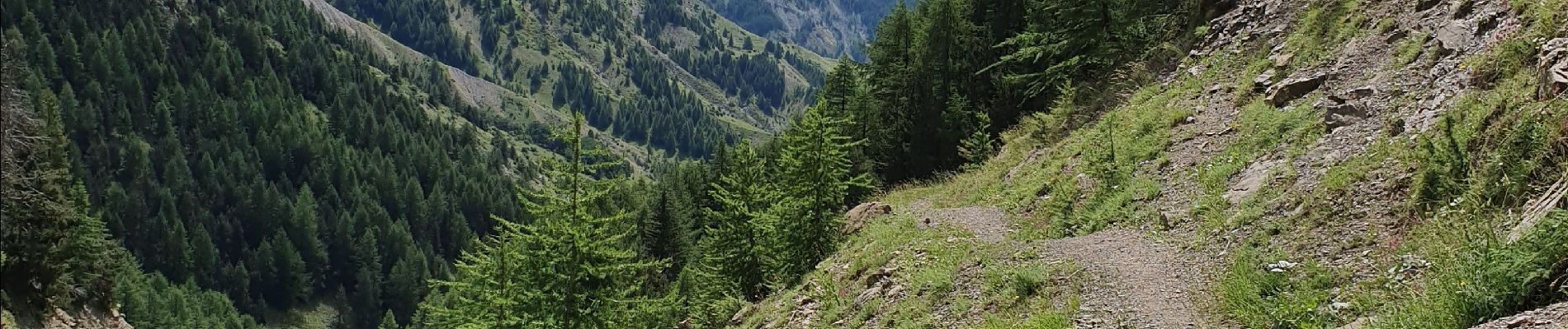 Tocht Stappen Uvernet-Fours - col allos  penier - Photo