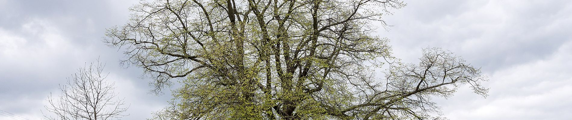 Tour Zu Fuß Rudolstadt - Rundwanderweg 1 - Photo