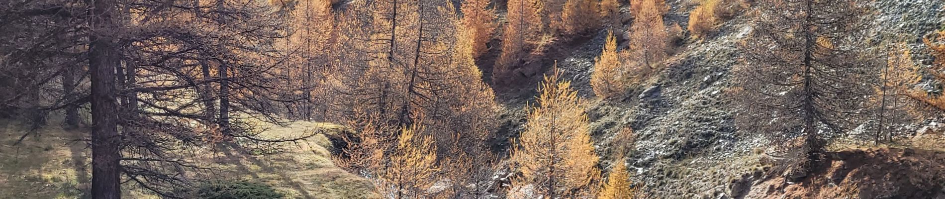 Trail Walking Saint-Paul-sur-Ubaye - maljasset - Photo