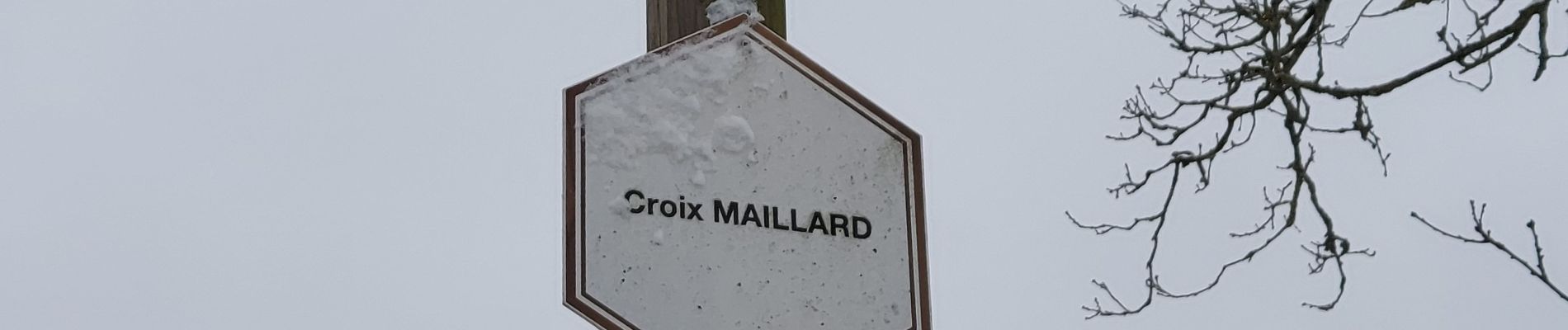Trail Walking Havelange - Croix Maillard Nettine 090221 - Photo