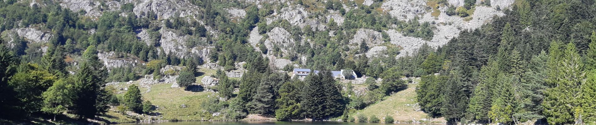 Tocht Stappen Orbey - Col du Wettstein - Hautes-Huttes - Lac du Forlet - Lac Vert - Photo