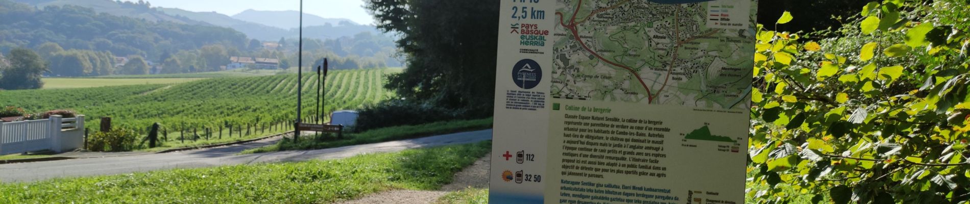 Trail Walking Cambo-les-Bains - CAMBO la colline de la bergerie  - Photo