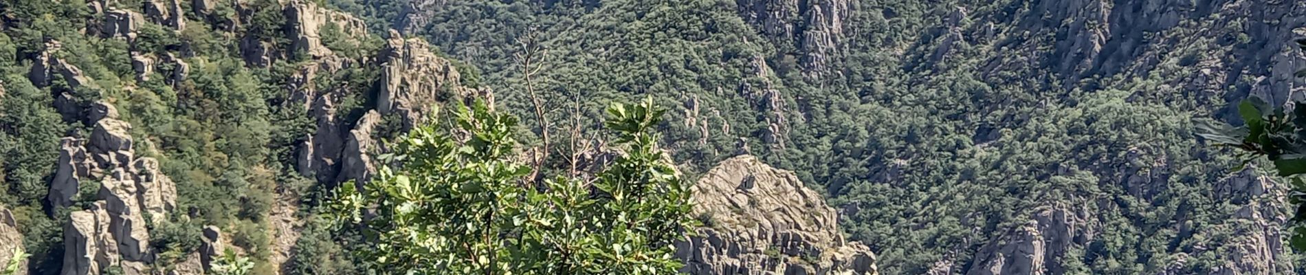 Randonnée Marche Pourcharesses - au coeur des gorges du chassezac au départ de Villefort  - Photo