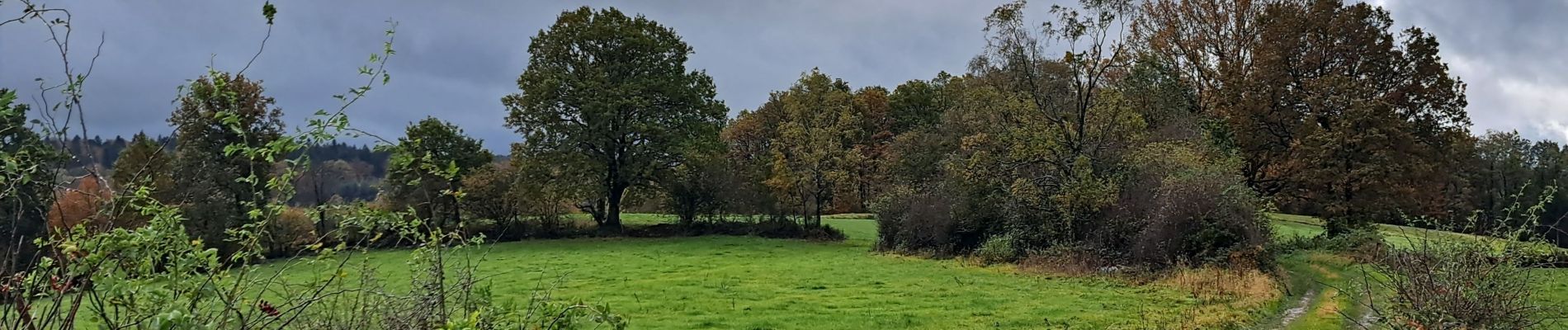 Trail Walking Durbuy - Marche ADEPS IZIER 2023 - Photo