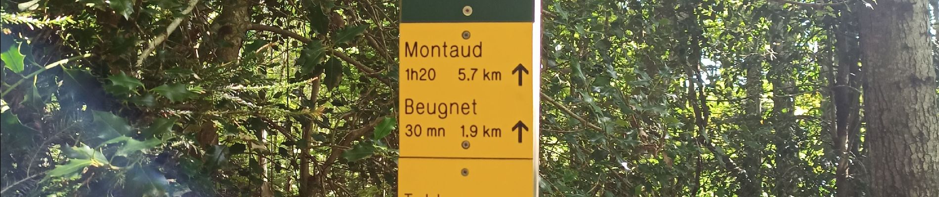 Tour Wandern Montaud - dent de Moirans  - Photo