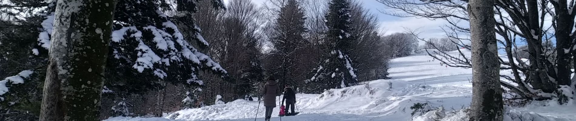 Tocht Sneeuwschoenen Sewen - Sortie raquettes au Langenberg - Photo