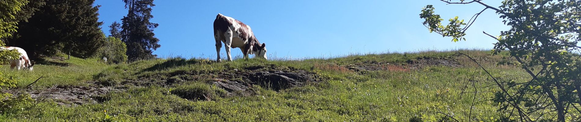 Randonnée Marche Manigod - colomban par le bas - Photo