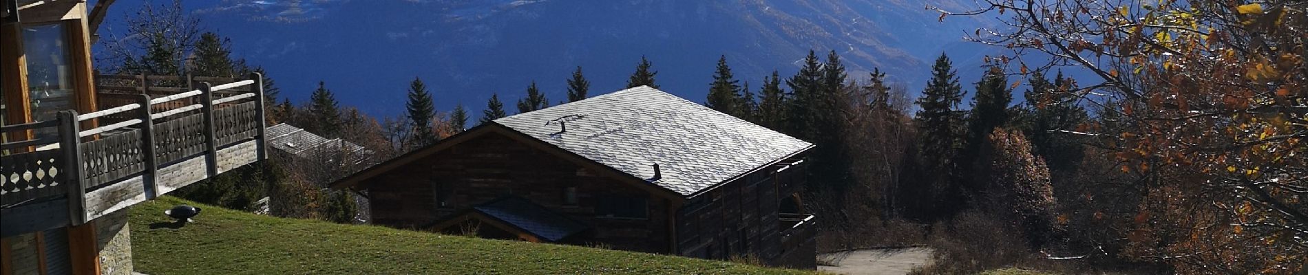 Excursión Marcha nórdica Arbaz - le pertou  - Photo