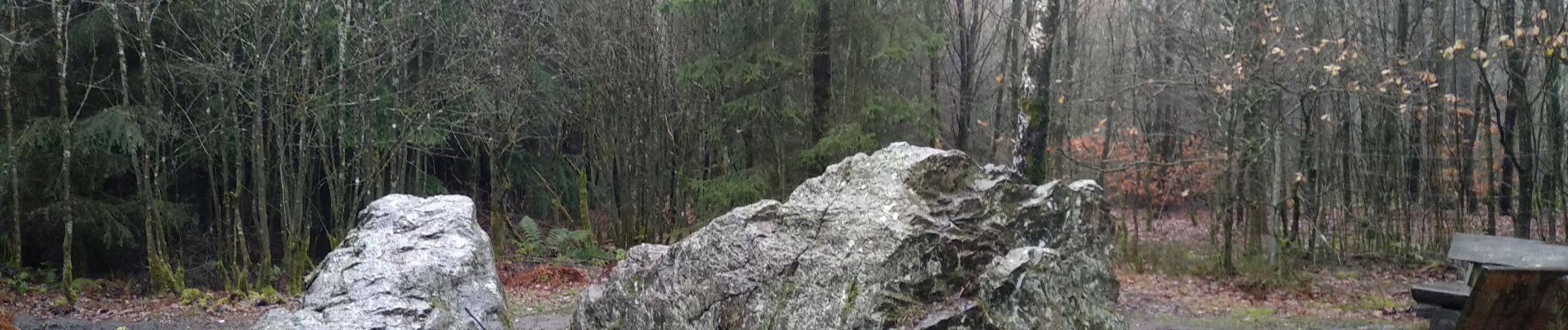 Tocht Stappen Eupen - Venenwandeling Nahtsief - Photo