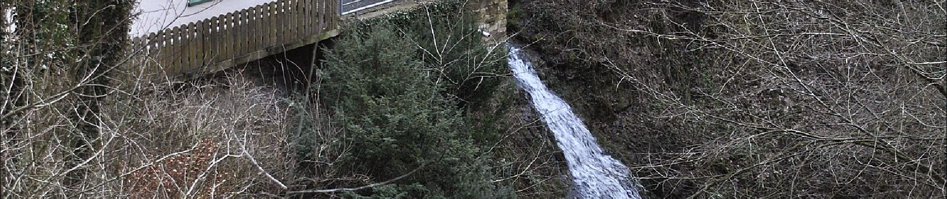 Tour Zu Fuß Auetal - HO5 - Langenfeld Route - Photo