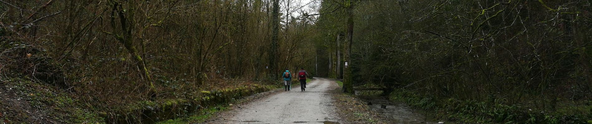 Trail Walking Marche-en-Famenne - ADEPS Marche-en-Famenne - Photo