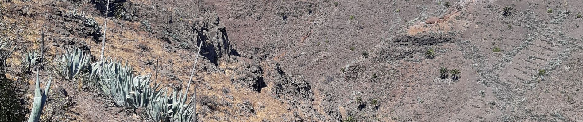 Trail Walking Vallehermoso - Canaries - La Gomera  - Valle Gran Rey - jour 6 - Photo