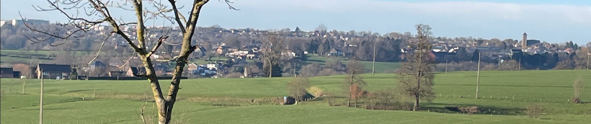 Tocht Stappen Olne - St Hadelin Nessonvaux - Photo