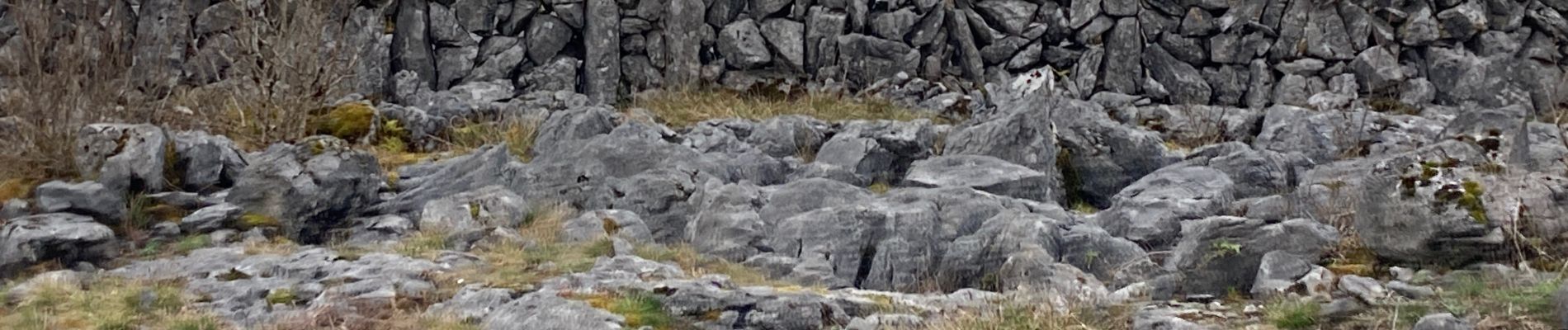 Trail Walking West Clare Municipal District - Burren - the blue and white trains - Photo
