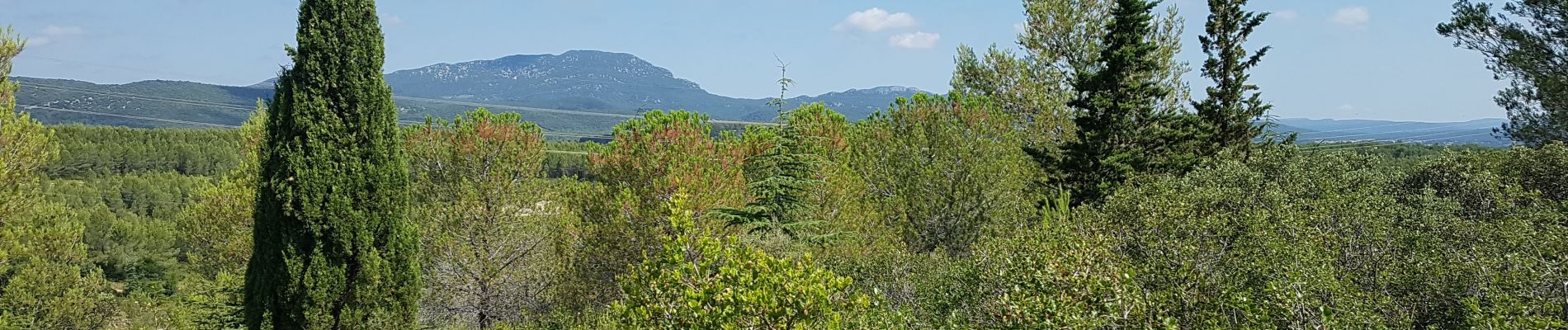 Tour Wandern Saint-Clément-de-Rivière - St Clément de Rivière, la source du Lez  - Photo