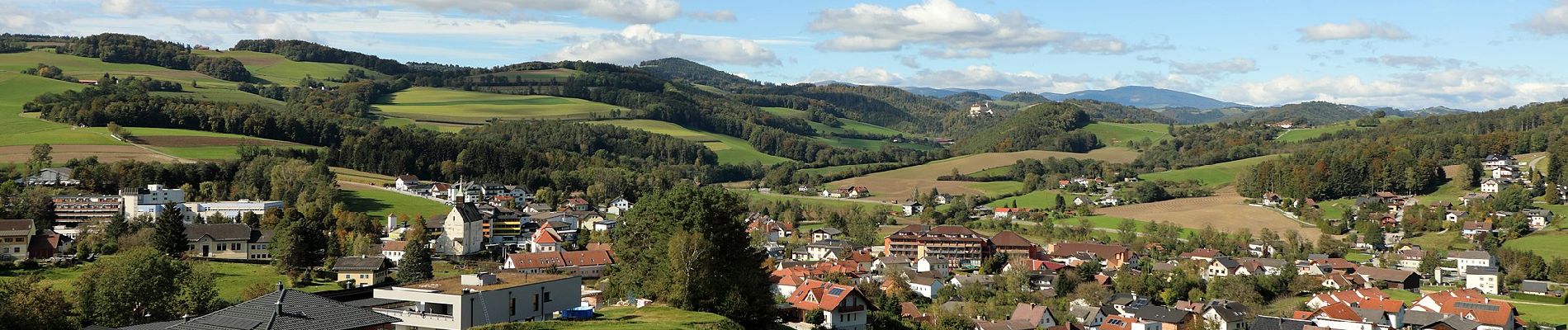 Tour Zu Fuß Bad Schönau - Rundwanderweg 2 (Bad Schönau) - Photo