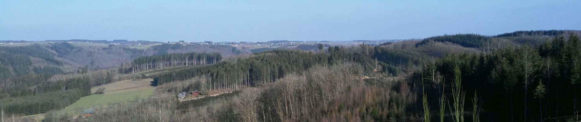 Randonnée Marche La Roche-en-Ardenne - La Roche n 6 - Photo