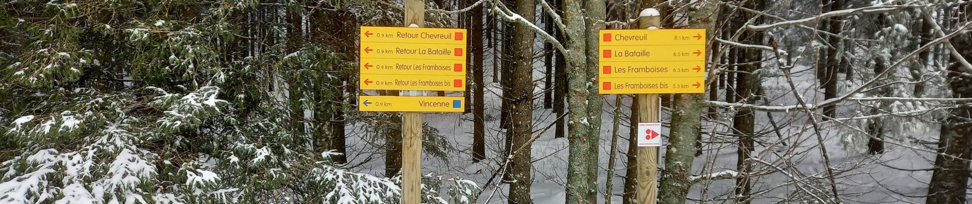 Tour Wandern Léoncel - Le Grand Echaillon - Photo