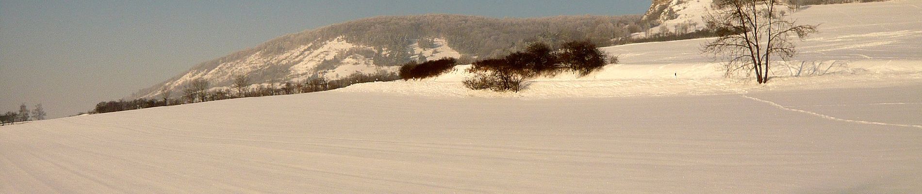 Tour Zu Fuß Löberschütz - Alter Gleisberg weiss-gelb-weiss - Photo