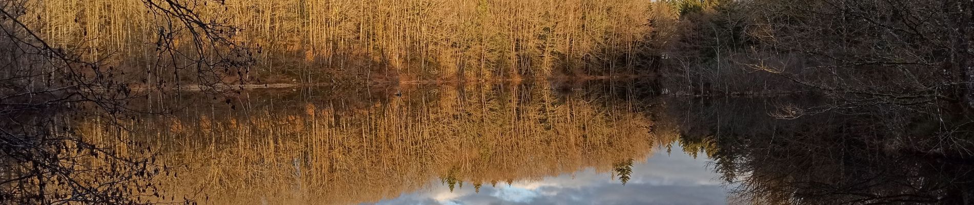 Tour Wandern Faucogney-et-la-Mer - 23-02-22 marche Oroz, étangs...  - Photo