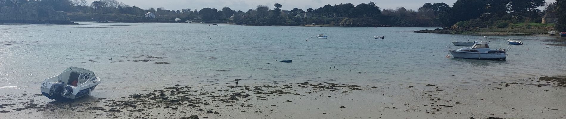 Randonnée Marche Île-de-Bréhat - Brehat du Nord au Sud - Photo