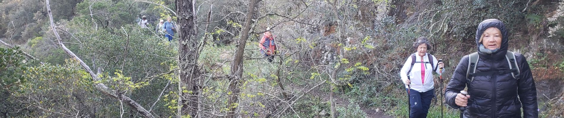 Tocht Stappen Roquebrune-sur-Argens - Le lac des Clos - Photo