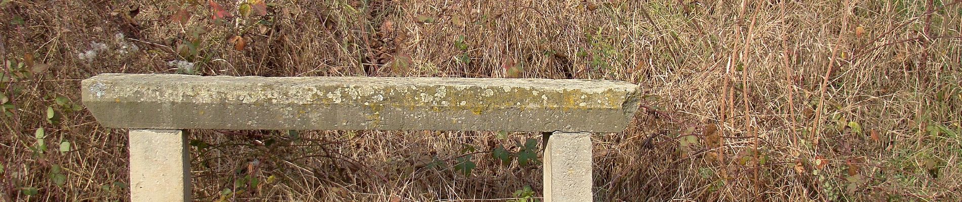 Percorso A piedi Vaihingen an der Enz - Vaihinger Rundweg - Photo