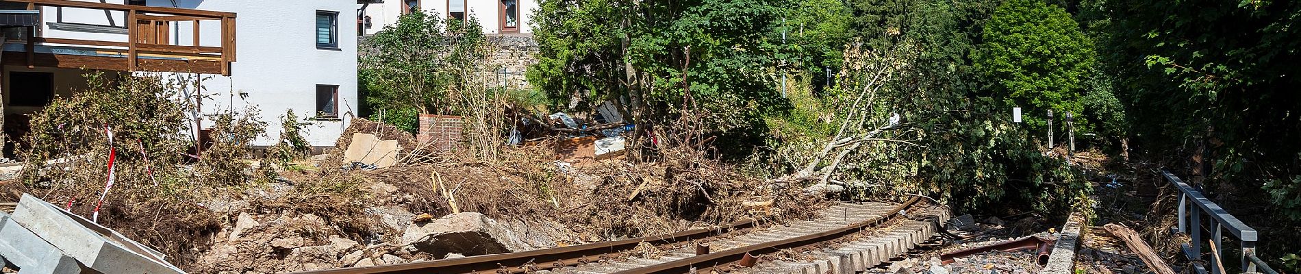 Percorso A piedi Kall - EifelSchleife Von Bären und Bärlauch - Photo