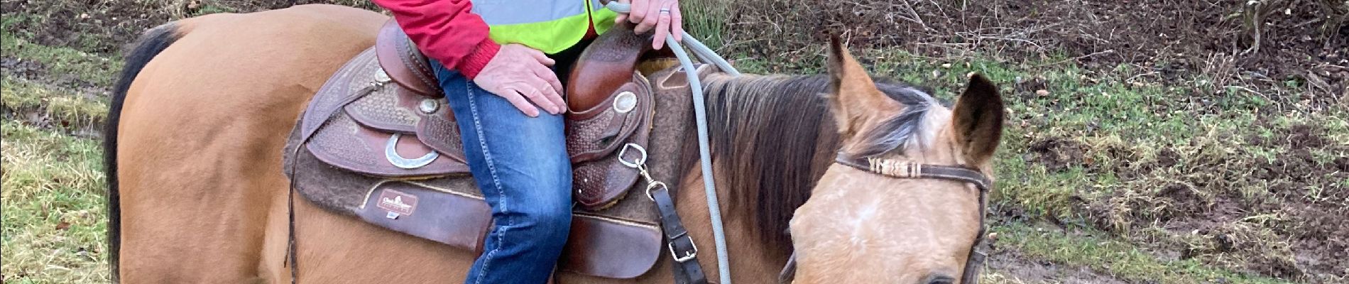 Trail Horseback riding Métairies-Saint-Quirin - Satis tivio  - Photo