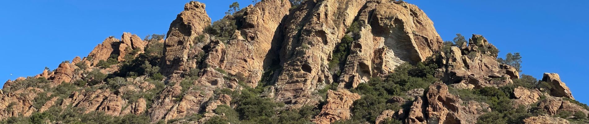 Tour Wandern Théoule-sur-Mer - Autour de Theoule - Photo