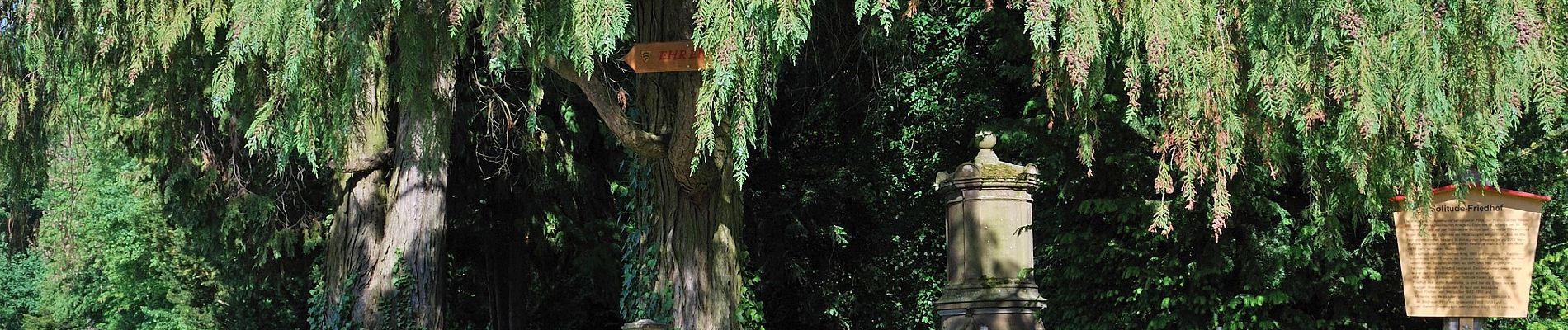 Randonnée A pied Fellbach - DE-SAV Roter Balken, von - nach Oeffingen - Photo