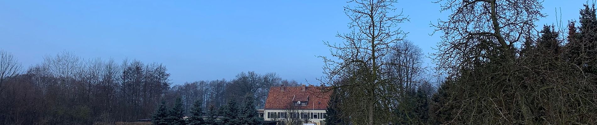 Tour Zu Fuß Heidesee - Rundweg Prieroser Heide - Photo