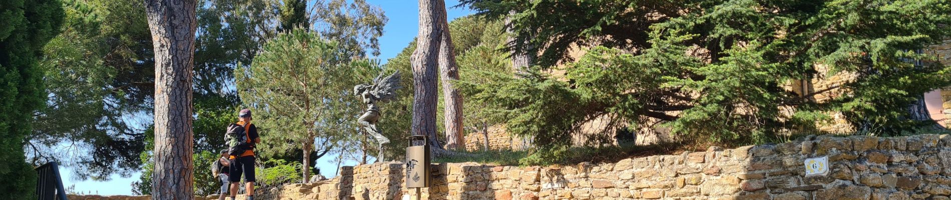 Tour Wandern Bormes-les-Mimosas - Bormes les Mimosas les 3 cols fait - Photo