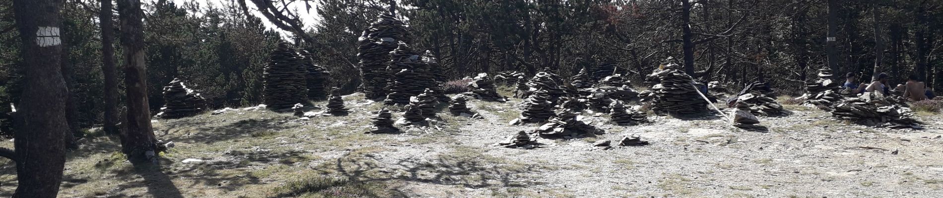 Tocht Elektrische fiets Pont de Montvert - Sud Mont Lozère - Stevenson 4 - Photo