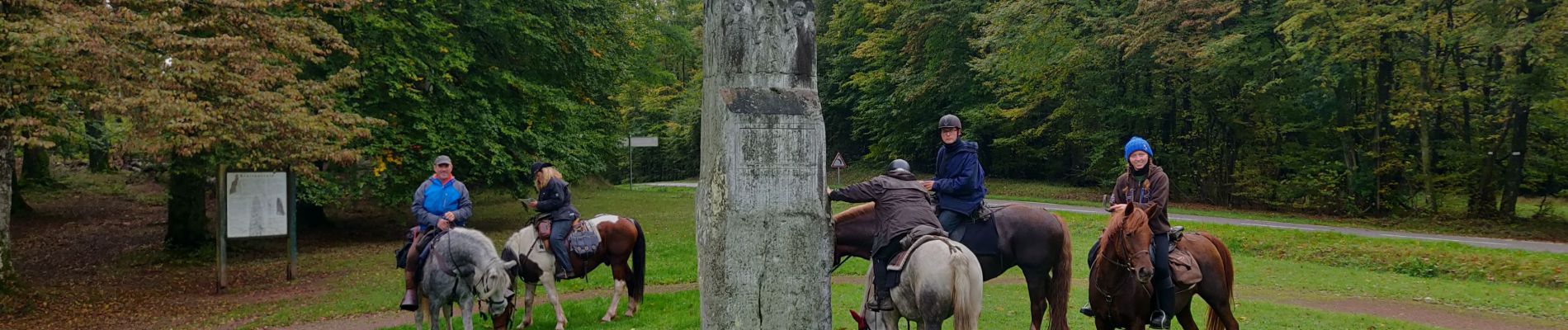 Randonnée Randonnée équestre Hinsbourg - 2019-10-11 Rando CVA Moderfeld vers Reipertswiller - Photo