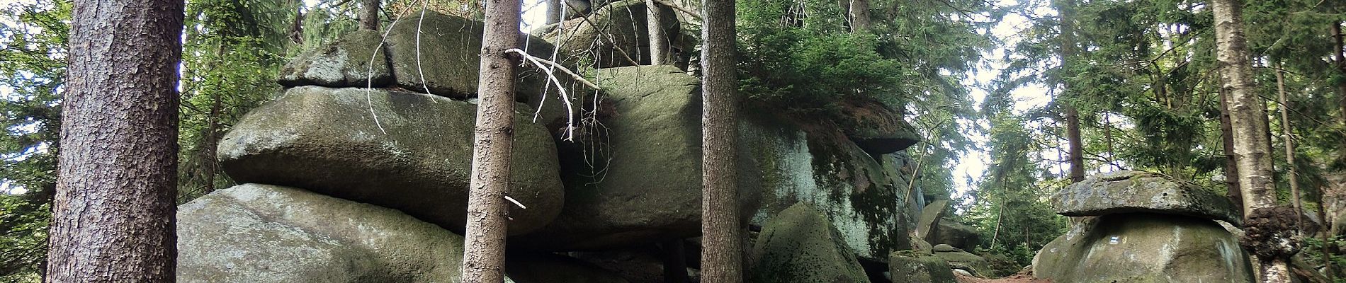 Excursión A pie Wunsiedel - Bad Alexandersbad - Rundwanderweg Nr. 6 - - Photo