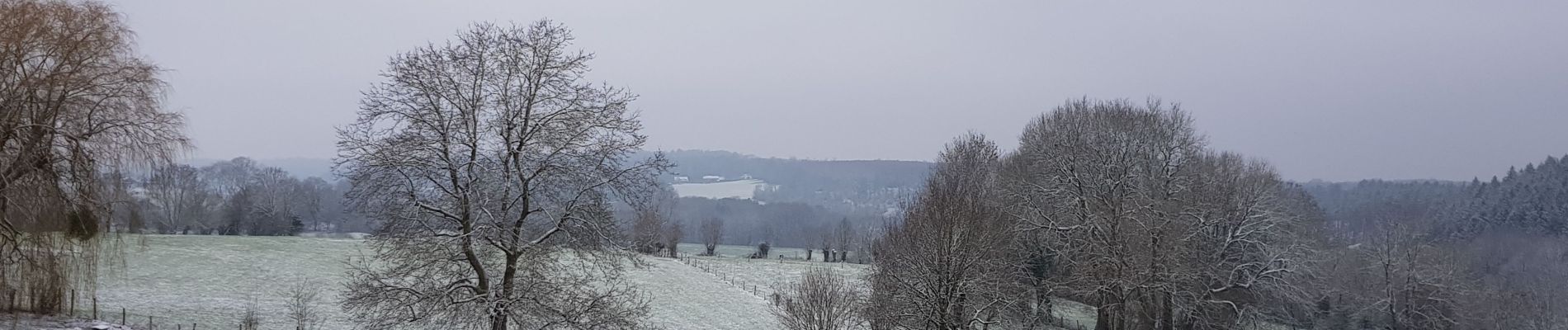 Trail Walking Sprimont - Banneux - Photo