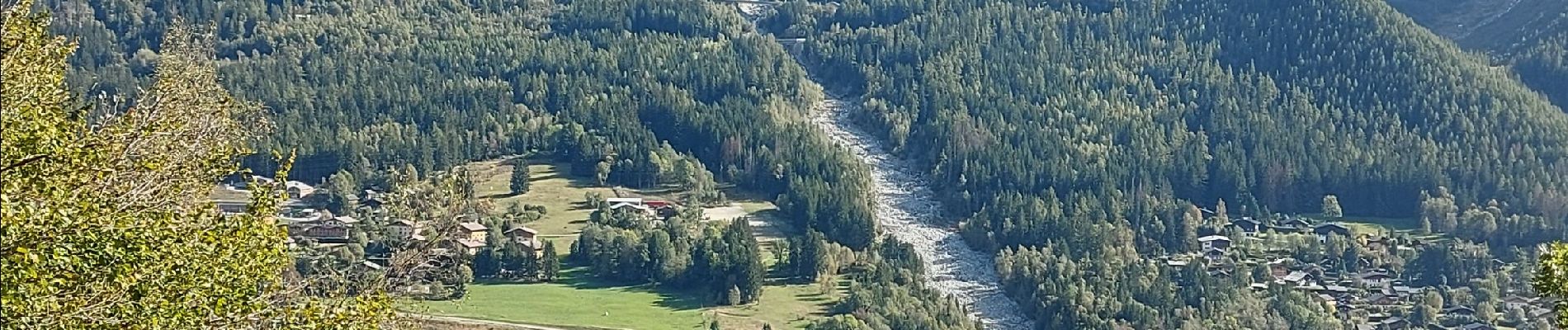 Tocht Stappen Chamonix-Mont-Blanc - 20231012 Chamonix Bois Prin Gaillants - Photo