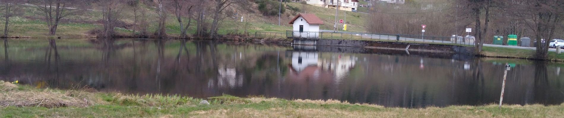 Tocht Stappen Le Tholy - le Tholy  - Photo