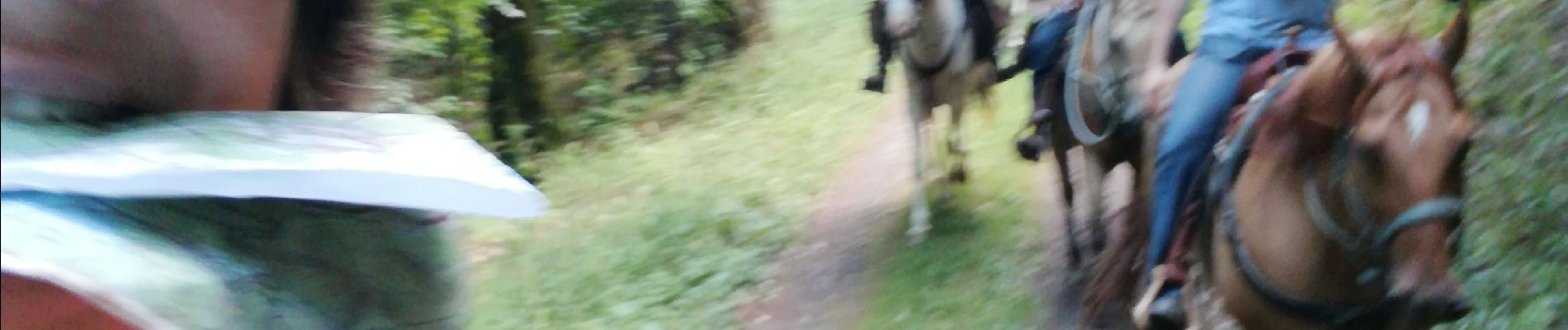 Trail Horseback riding Ban-de-Sapt - equiplaine à la fontenelle  - Photo