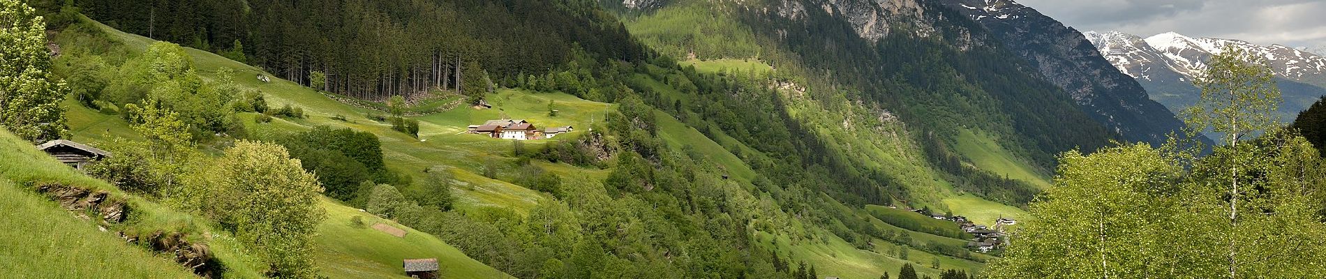 Tour Zu Fuß Brenner - IT-6 - Photo