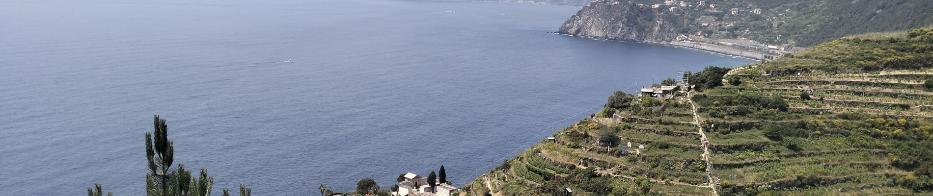 Tocht Stappen Riomaggiore - Manarola-Riomaggiore-3kmD250m - Photo