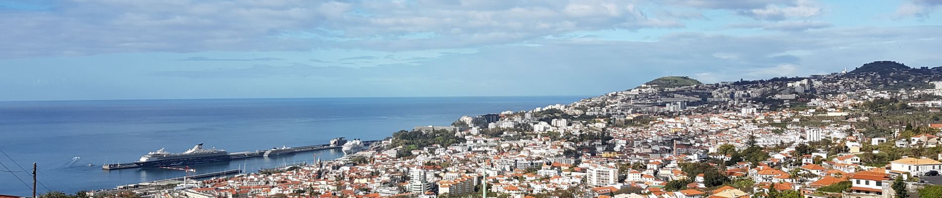 Randonnée Marche Funchal (Santa Maria Maior) - Monte par le Levada do Bom Sucesso (Rother n°2 inversé) - Photo